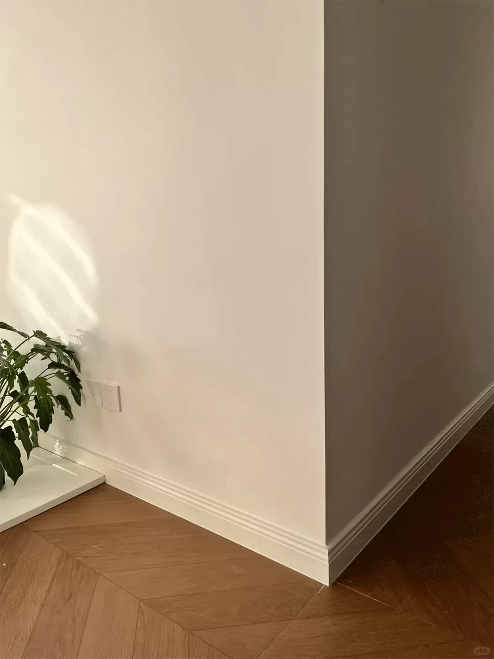 WPC Flooring Accessories