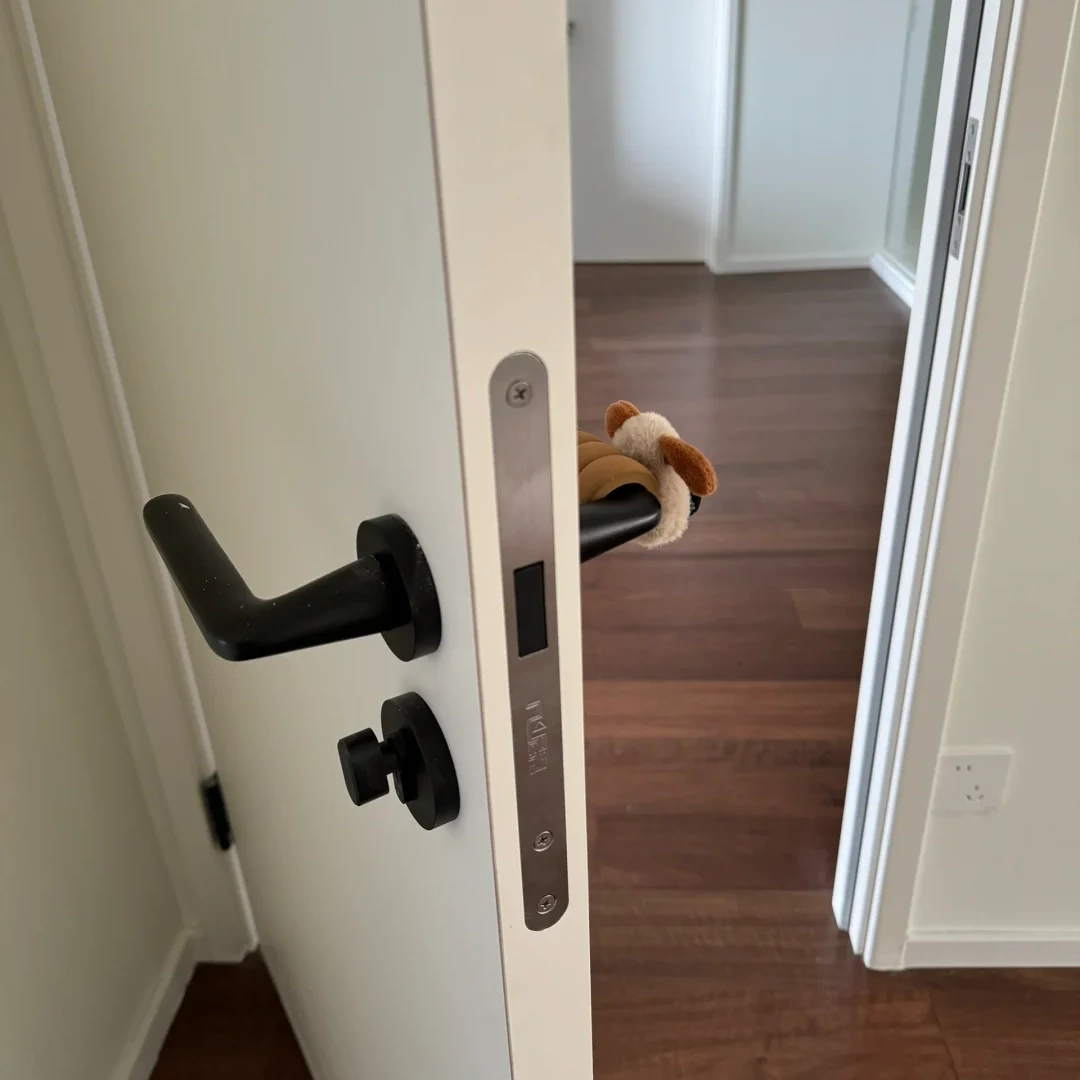 Painted Wooden Doors